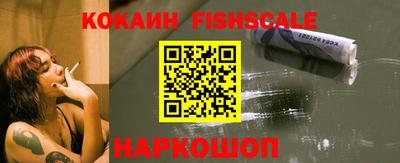 индика Славгород
