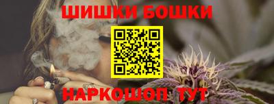 индика Славгород