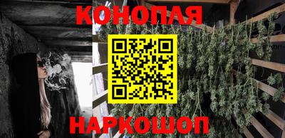 индика Славгород