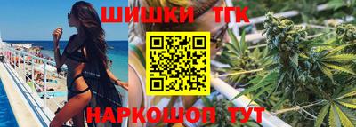 индика Славгород