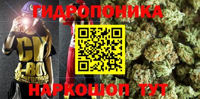 индика Славгород
