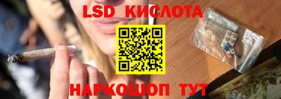 индика Славгород