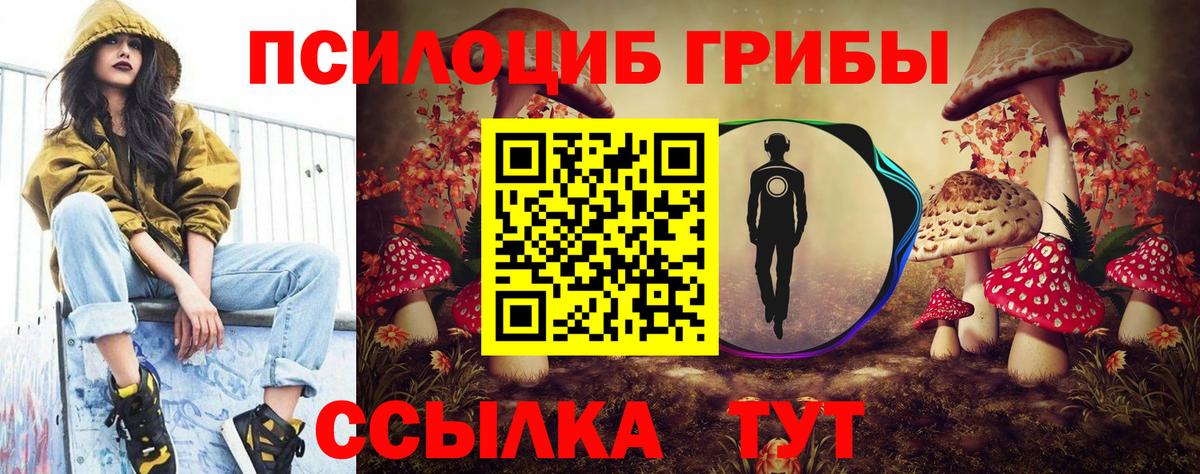 Галлюциногенные грибы Cubensis  Вход с VPN  Свободный 